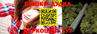 apvp Ачхой-Мартан